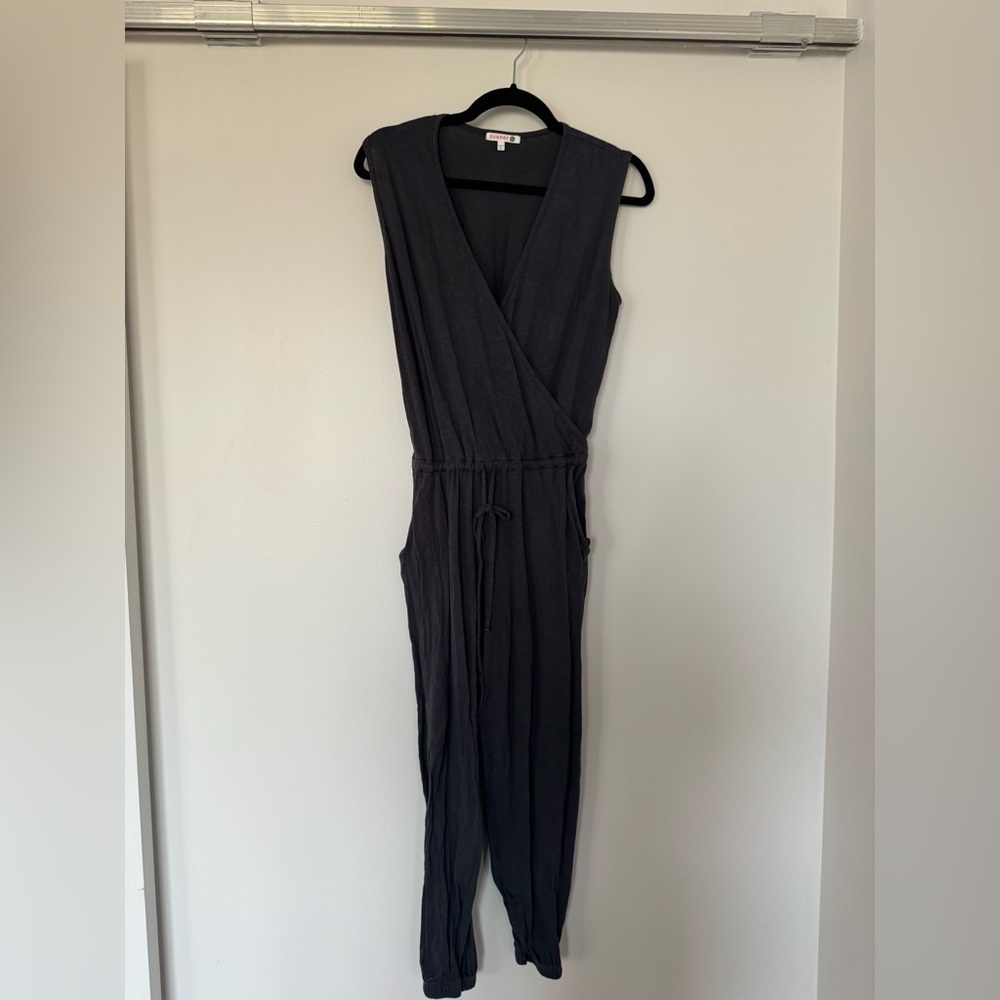Sundry Charcoal V-Neck Jumpsuit - Picture 3 of 3